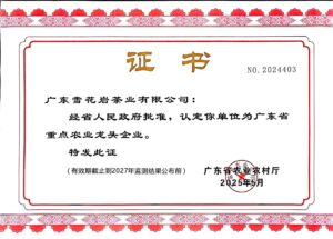 Guangdong Provincial Key Leading Enterprise