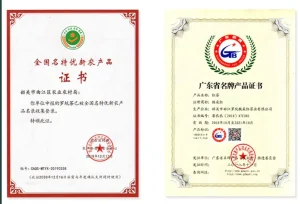 Guangdong Province Famous Brand 