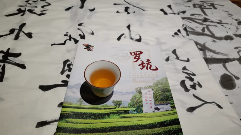 Chinese tea cup with calligraphy brochure in Shaoguan tea guide