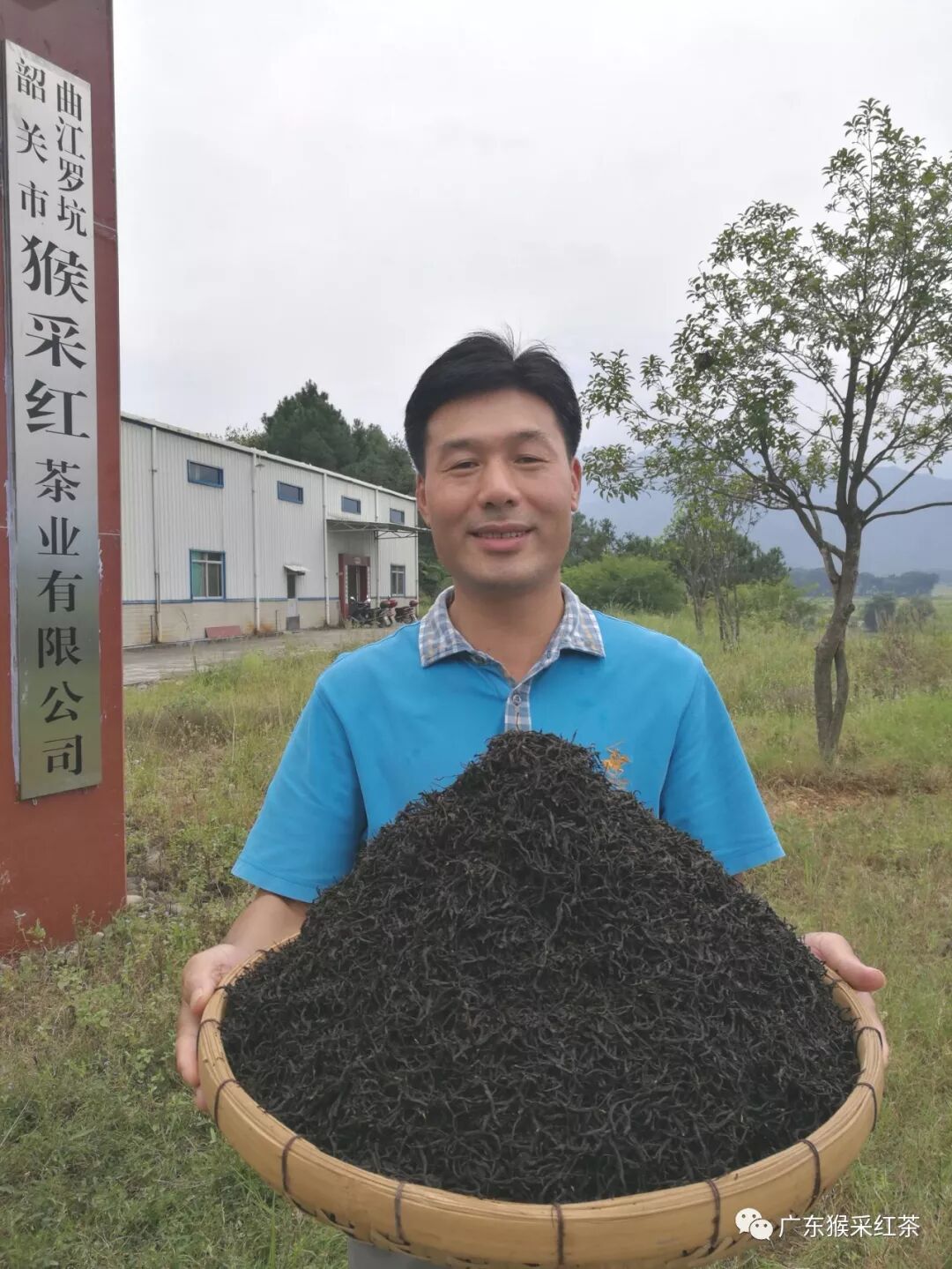 Wang Ronghe (Monkey Brother), inheritor of Luokeng black tea intangible heritage and founder of Monkey-Picked Red