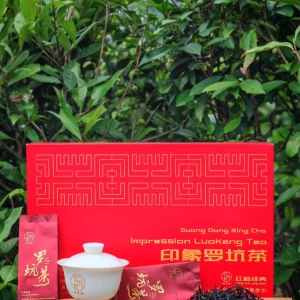 CloudSky Impression Luokeng Tea — Spring Wild Ancient Tree Black Tea