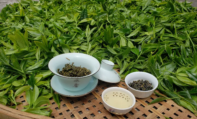 Fresh tea leaves and brewing setup, showcasing traditional Shaoguan tea culture.